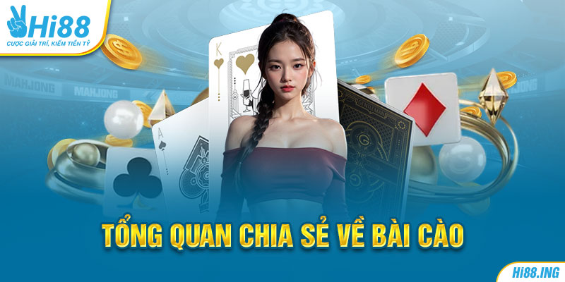 Tổng quan chia sẻ về bài cào